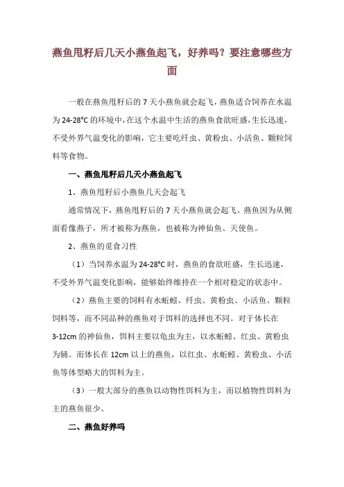 燕鱼甩籽后几天小燕鱼起飞,好养吗？要注意哪些方面