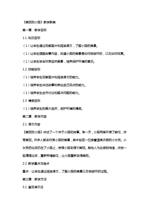 《美丽的小路》教学教案