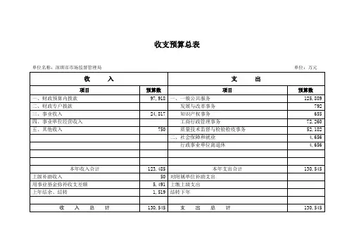 收支预算总表