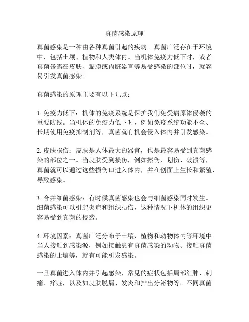 真菌感染原理