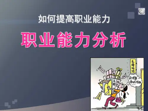 职业能力分析