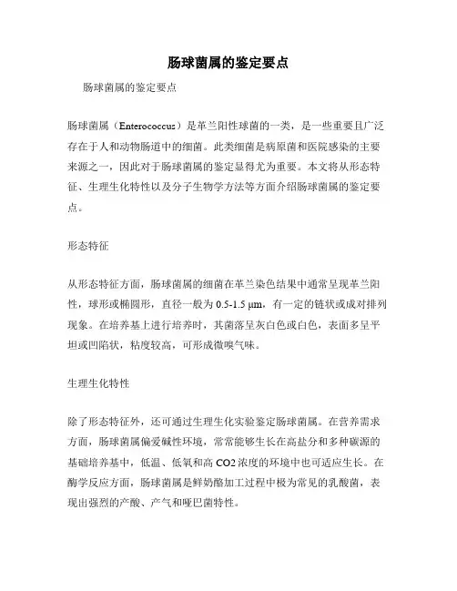 肠球菌属的鉴定要点