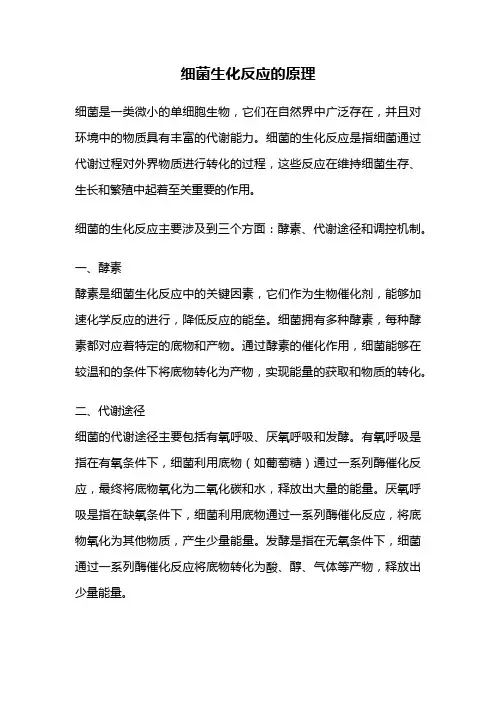细菌生化反应的原理