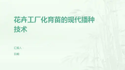 花卉工厂化育苗的现代播种技术