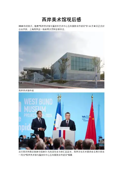 西岸美术馆观后感