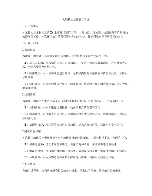大坝整治工程施工方案