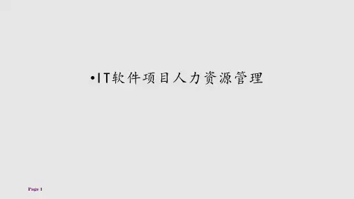IT软件开发项目人力资源管理解读学习PPT教案