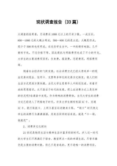 现状调查报告(33篇)