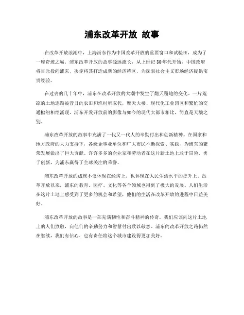 浦东改革开放 故事