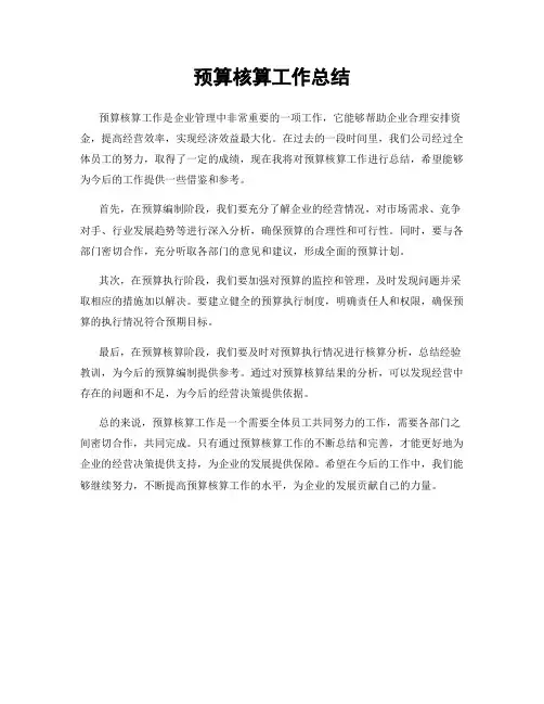 预算核算工作总结