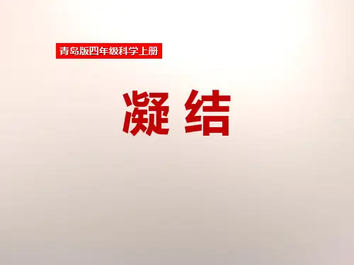 《凝结》PPT下载