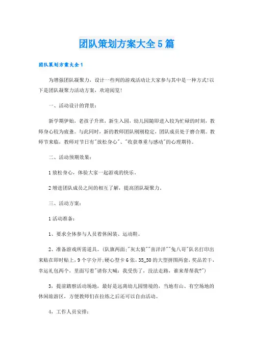 团队策划方案大全5篇