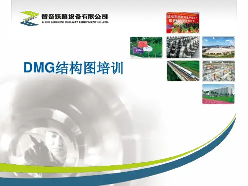 DMG结构