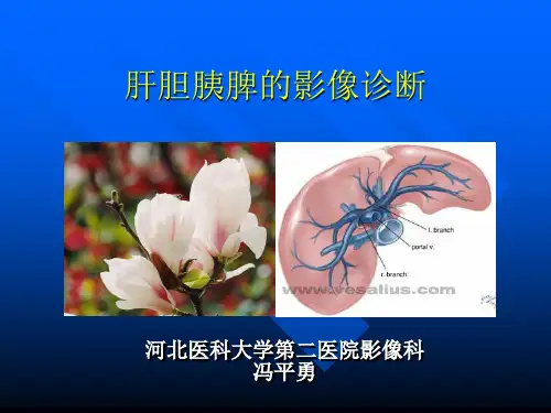 肝胆胰脾的影像诊断