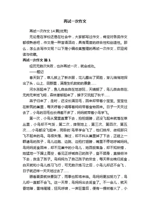 再试一次作文14篇[优秀]