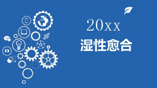 湿性愈合_演讲模板