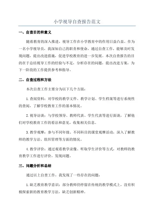 小学视导自查报告范文