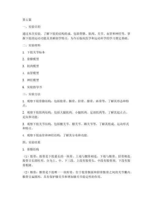 下肢结构的实验报告(3篇)