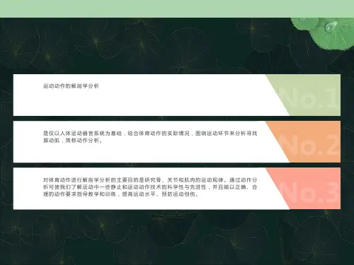 运动动作的解剖分析