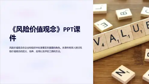 《风险价值观念》课件