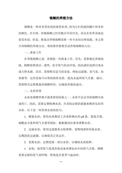 锦鲤的养殖方法