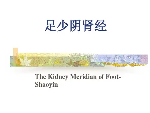足少阴肾经-七年制详解