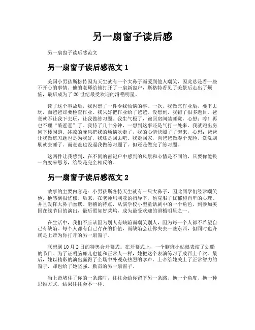 另一扇窗子读后感