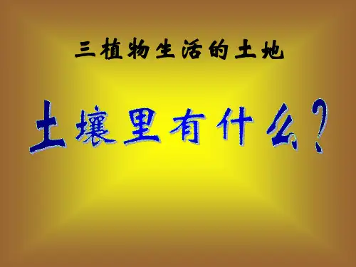 《土壤里有什么》植物生活的土地PPT课件