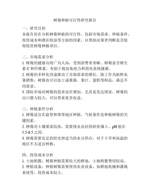 树莓种植可行性研究报告