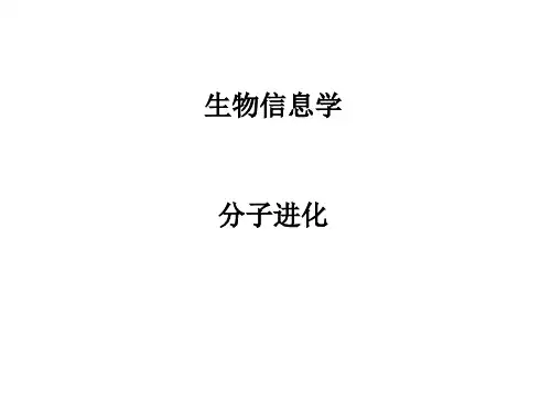生物竞赛-生物信息学部分-分子进化树