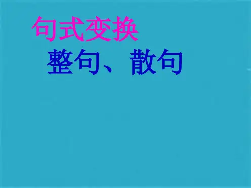语文高考复习专题训练句式变换：整句、散句课件(共28张PPT)