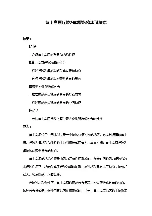 黄土高原丘陵沟壑聚落密集斑块式