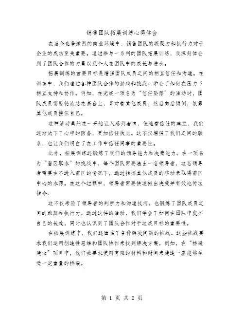 销售团队拓展训练心得体会