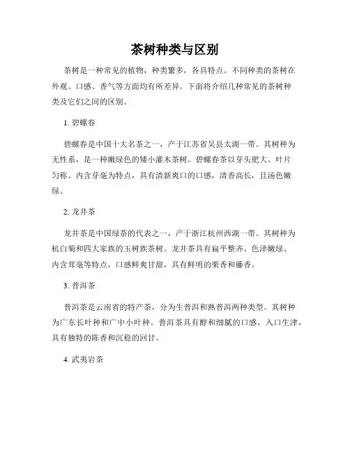 茶树种类与区别