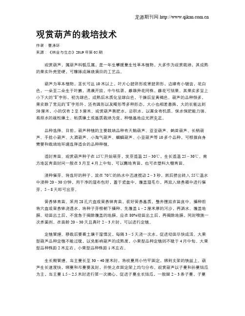 观赏葫芦的栽培技术