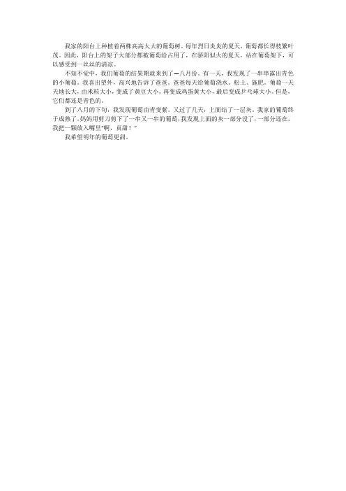 我家的葡萄树作文300字三年级