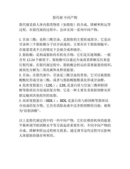 脂代谢 中间产物