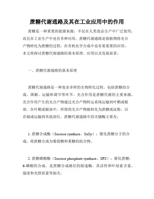 蔗糖代谢通路及其在工业应用中的作用