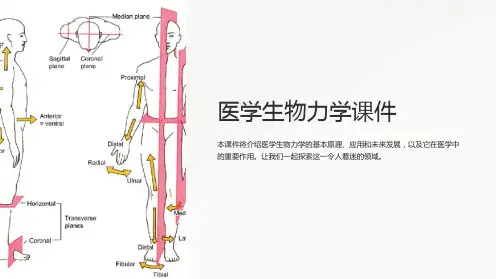 《医学生物力学课件》