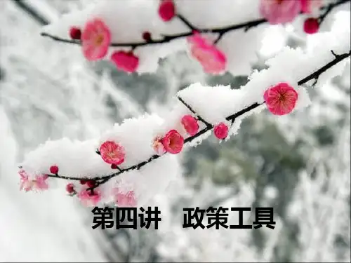 公共政策研究-第四讲--政策工具PPT课件