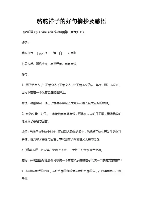 骆驼祥子的好句摘抄及感悟