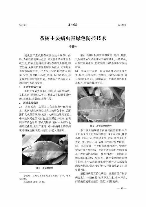 茶树主要病虫害绿色防控技术
