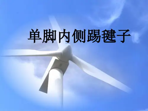 小学体育课件：《单脚内侧踢毽子》