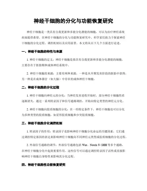 神经干细胞的分化与功能恢复研究