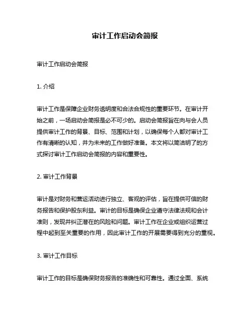 审计工作启动会简报