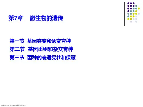 微生物的遗传变异和诱变育种