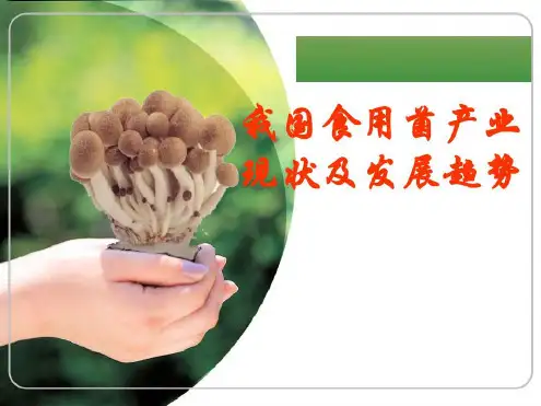 食用菌产业现状及发展趋势-2023年学习资料