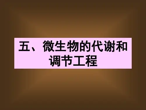 发酵工程—5.微生物的代谢和调节工程