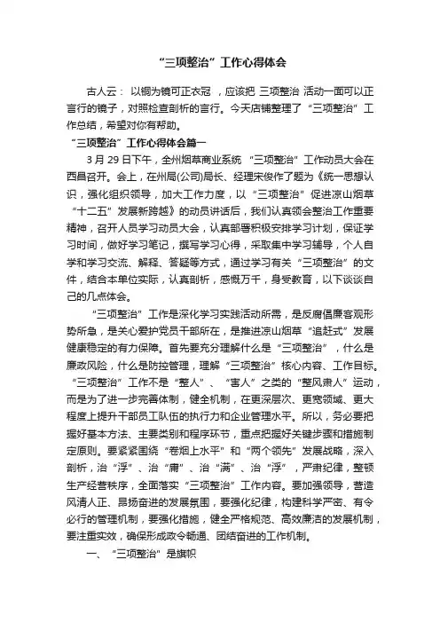 “三项整治”工作心得体会