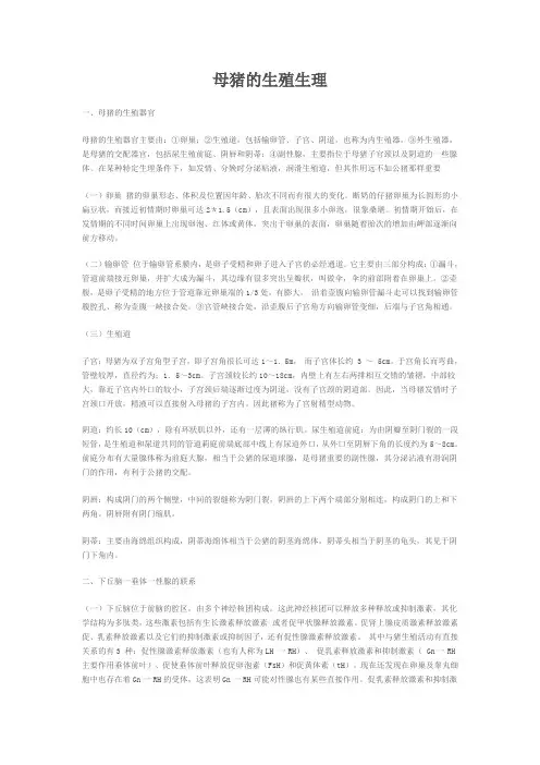 母猪的生殖生理